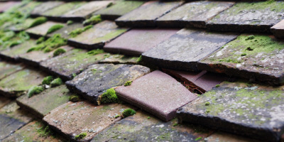 Chilton roof repair costs